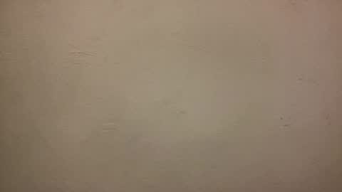 bayleyseth online show from February 5, 7:31 pm