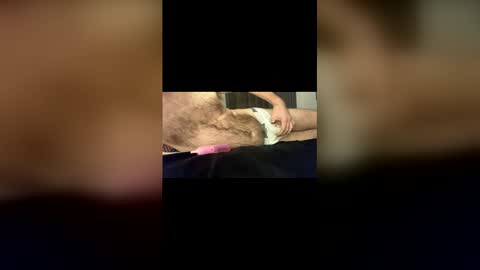 Snapshot of baz73 chatting on January 18, 11:52 pm Baz online show from January 18, 11:52 pm