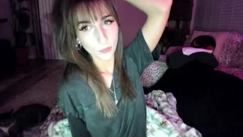 Snapshot of bbshasta chatting on June 1, 7:10 am Shasta online show from June 1, 7:10 am