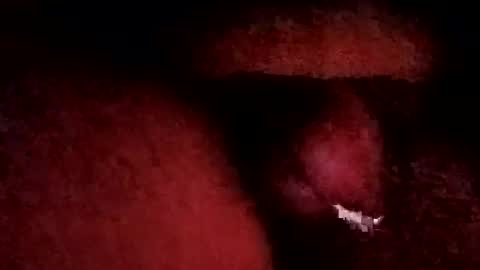 Snapshot of bcfalcon69 chatting on January 19, 6:06 am bcfalcon69 online show from January 19, 6:06 am