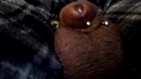 Snapshot of bcfalcon69 chatting on February 26, 5:06 am bcfalcon69 online show from February 26, 5:06 am