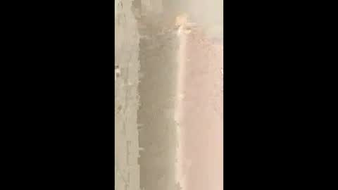 Snapshot of bdsmcutiepue chatting on June 10, 11:42 am bdsmcutiepue online show from June 10, 11:42 am