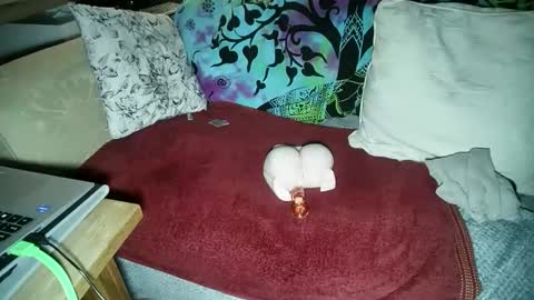 Snapshot of be4your_desire chatting on November 18, 11:26 pm mikiforfun online show from November 18, 11:26 pm