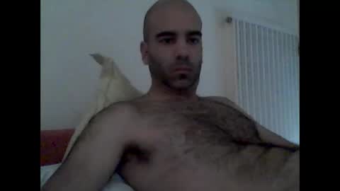 bear14250949 online show from October 19, 9:10 am