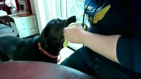 Beardman online show from April 7, 5:57 pm