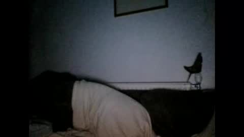 Snapshot of beatlebut chatting on October 1, 6:25 pm beatlebut online show from October 1, 6:25 pm