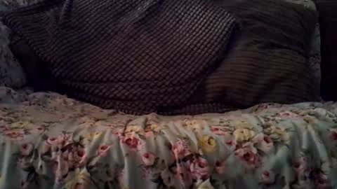 Snapshot of beatlebut chatting on October 16, 3:18 am beatlebut online show from October 16, 3:18 am