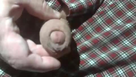 Snapshot of beer27 chatting on December 28, 12:15 am  Reservoir Dogs online show from December 28, 12:15 am