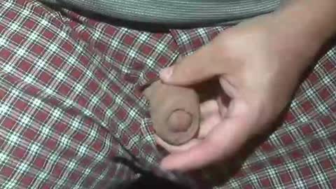 Snapshot of beer27 chatting on October 20, 2:12 am  Reservoir Dogs online show from October 20, 2:12 am