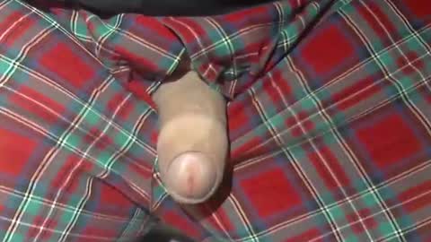 Snapshot of beer27 chatting on October 21, 10:05 am  Reservoir Dogs online show from October 21, 10:05 am