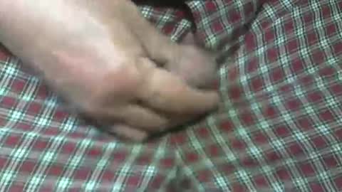 Snapshot of beer27 chatting on October 31, 5:47 pm Reservoir Dogs online show from October 31, 5:47 pm