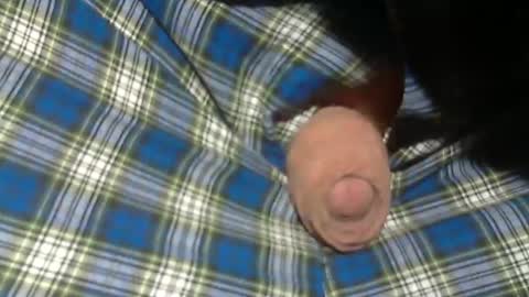 Snapshot of beer27 chatting on November 2, 9:06 pm Reservoir Dogs online show from November 2, 9:06 pm