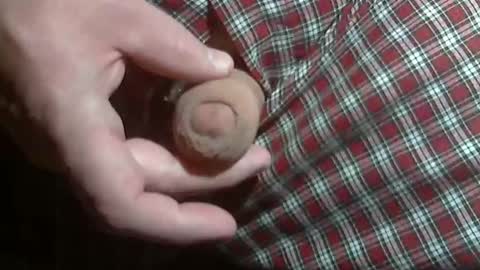 Snapshot of beer27 chatting on January 12, 1:00 am Reservoir Dogs online show from January 12, 1:00 am