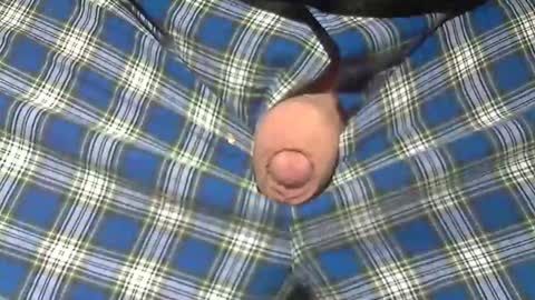 Snapshot of beer27 chatting on February 19, 11:28 am Reservoir Dogs online show from February 19, 11:28 am