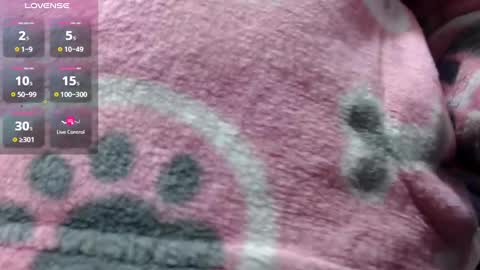 bekkasquirt online show from January 1, 12:21 am