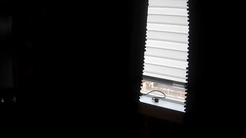 belessa4u online show from March 20, 12:48 am