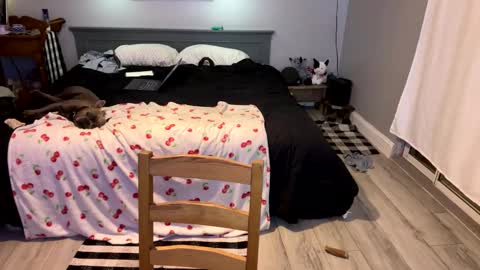 Snapshot of bellabeanz chatting on March 1, 4:00 pm Roxy Rain online show from March 1, 4:00 pm