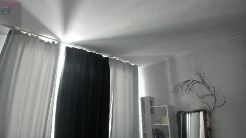 Bella online show from February 5, 8:52 am