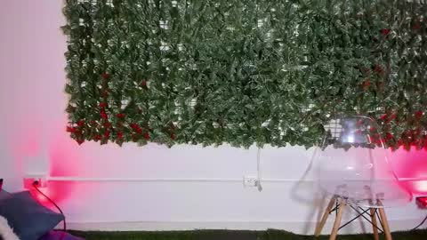 BellaRoux online show from February 14, 12:35 pm