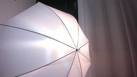 Snapshot of bellawild_ chatting on February 12, 12:00 pm Bella Wild online show from February 12, 12:00 pm