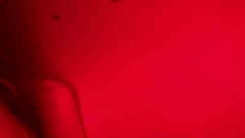 Snapshot of belle_marie chatting on November 9, 8:12 am Belle xx online show from November 9, 8:12 am