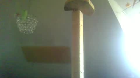 benizio online show from February 22, 11:02 am