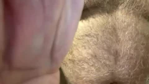 benz10001 online show from April 14, 3:01 am