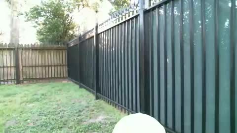 Blue online show from March 5, 11:23 pm