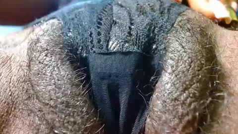 Bethany Wilson online show from January 24, 3:34 pm