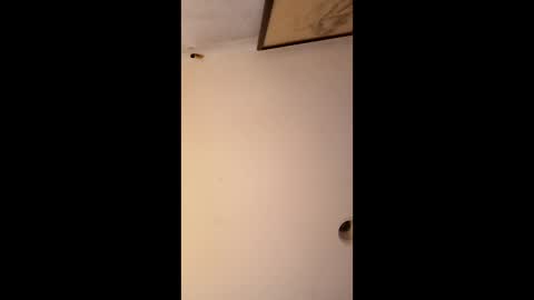 bgiamba21 online show from January 12, 6:51 am