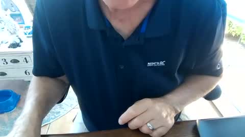 Snapshot of bi_and_more chatting on July 4, 11:05 am Manfred online show from July 4, 11:05 am