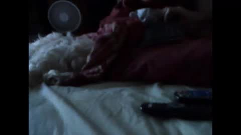 BB online show from March 14, 5:35 am