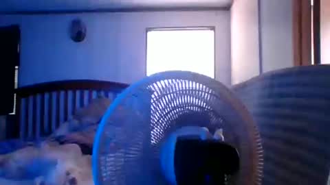 Snapshot of bigbenidick1 chatting on March 28, 8:30 pm BB online show from March 28, 8:30 pm