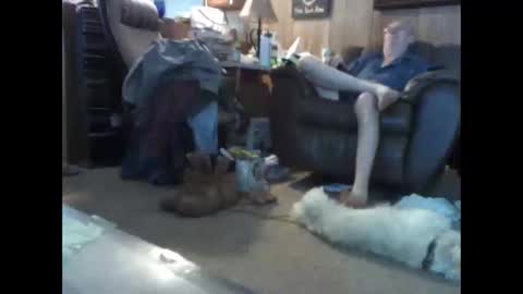 Snapshot of bigbenidick1 chatting on May 15, 4:47 pm BB online show from May 15, 4:47 pm