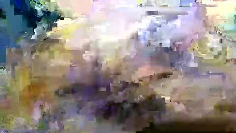 bigboybigbutt69 online show from November 8, 12:05 pm