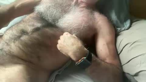 Snapshot of bigbush1 chatting on January 17, 5:32 am big bush online show from January 17, 5:32 am