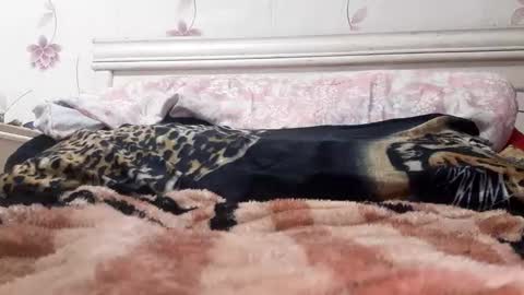 Snapshot of bigcock977654 chatting on February 23, 1:13 am bigcock977654 online show from February 23, 1:13 am