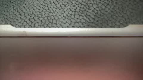 Snapshot of bigcocksuckingslut chatting on February 2, 5:26 pm bigcocksuckingslut online show from February 2, 5:26 pm