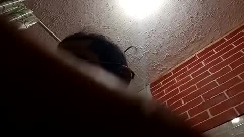 Snapshot of bigdaddy1231995 chatting on October 28, 9:24 am BigDaddykodack online show from October 28, 9:24 am