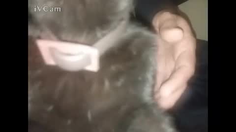 Big online show from February 22, 2:34 am