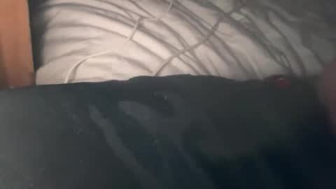 Snapshot of bigdick686268 chatting on October 3, 7:33 pm Pac Man Sex online show from October 3, 7:33 pm