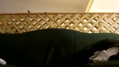 Snapshot of biggestboiiii chatting on January 28, 3:04 am biggestboiiii online show from January 28, 3:04 am