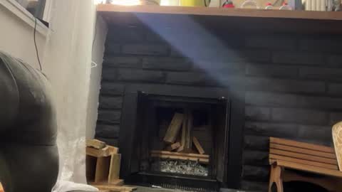 Snapshot of bigheadaddy90 chatting on November 17, 11:38 am Daniel Noelia online show from November 17, 11:38 am