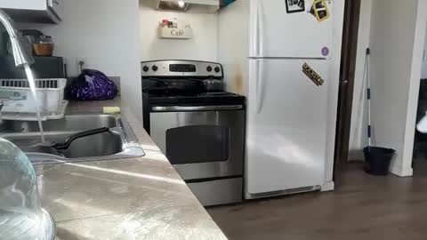 Snapshot of bigheadaddy90 chatting on November 27, 8:55 pm Daniel Noelia online show from November 27, 8:55 pm