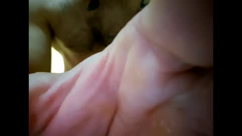 bigjoeyblow online show from November 1, 6:37 am