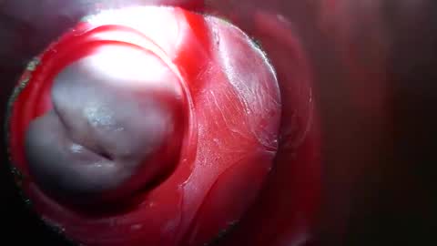 Snapshot of bigmoneycorey chatting on March 10, 3:50 pm bigmoneycorey online show from March 10, 3:50 pm