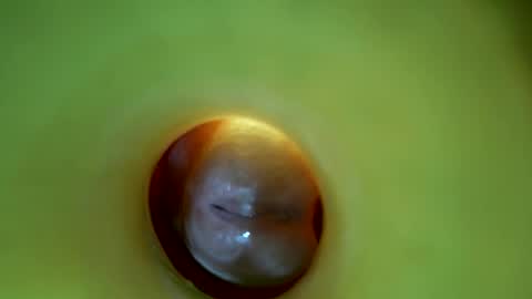 Snapshot of bigmoneycorey chatting on March 16, 6:56 pm bigmoneycorey online show from March 16, 6:56 pm