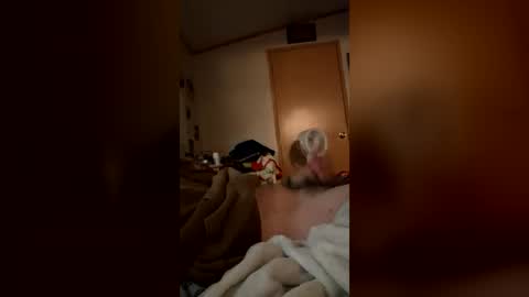 bigsteph16 online show from July 16, 1:17 pm