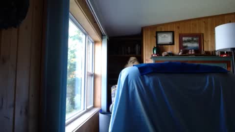 bigthicksatisfying2 online show from September 17, 8:32 pm