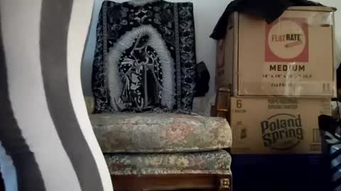 bigtopcircus online show from September 22, 10:56 pm